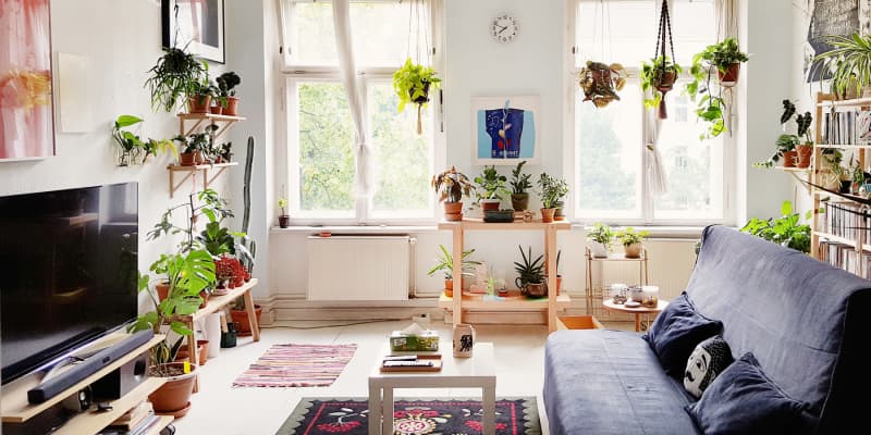 Ideal Humidity Level in House How to Control It Apartment Therapy